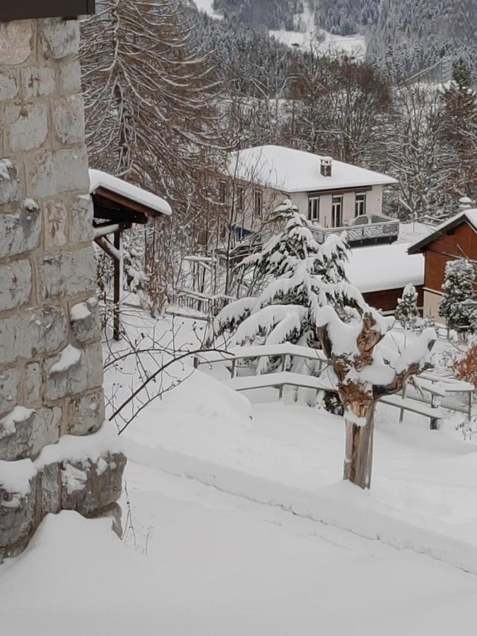 Studio Au Calme, Vue Imprenable Sur La Vallee Leysin Exterior photo