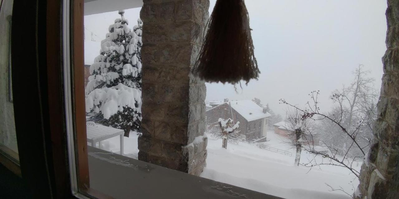 Studio Au Calme, Vue Imprenable Sur La Vallee Leysin Exterior photo