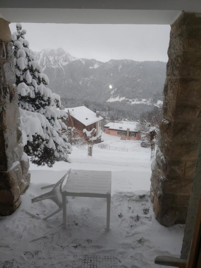 Studio Au Calme, Vue Imprenable Sur La Vallee Leysin Exterior photo