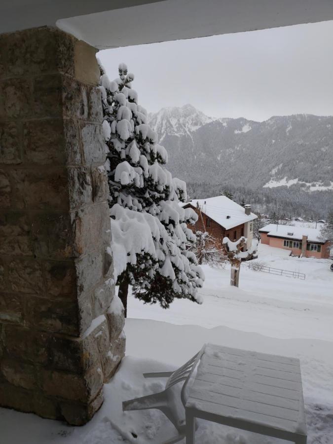 Studio Au Calme, Vue Imprenable Sur La Vallee Leysin Exterior photo